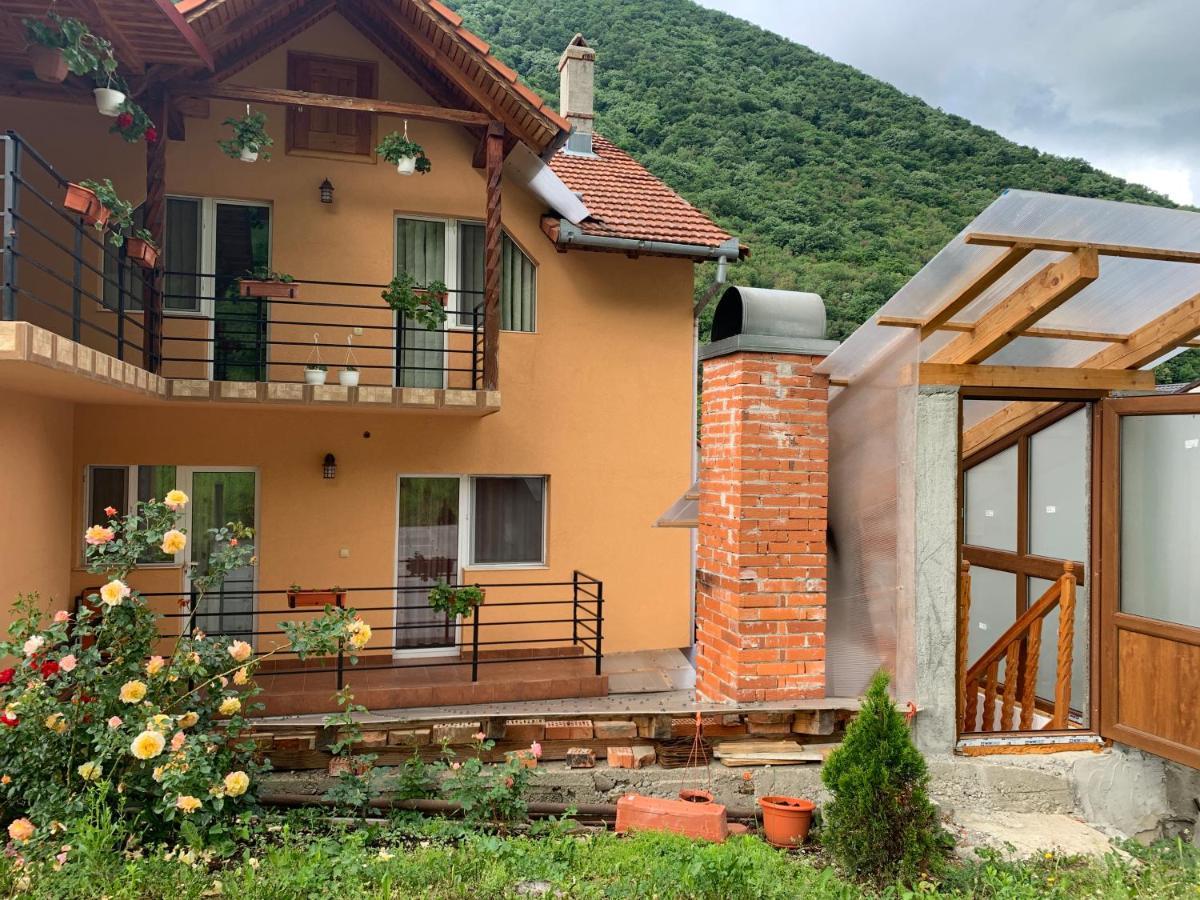 Casa Visescu Hotel Baile Herculane Luaran gambar