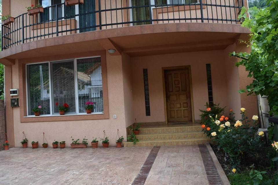 Casa Visescu Hotel Baile Herculane Luaran gambar